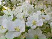 Фотография Марченко Дмитрий