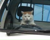 Фотография Пислегина Ивана