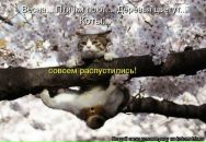 Ірина Редько фотография #14 (источник - https://vk.com/id55667456)