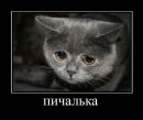 Фотография Власова Сержа