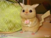 Фотография Тубердина Леонида