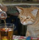 Іринка Попова фотография #46 (источник - https://vk.com/id61134731)