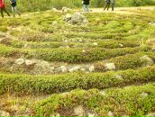 Филипп Келейнов фотография #44 (источник - https://vk.com/id68366)