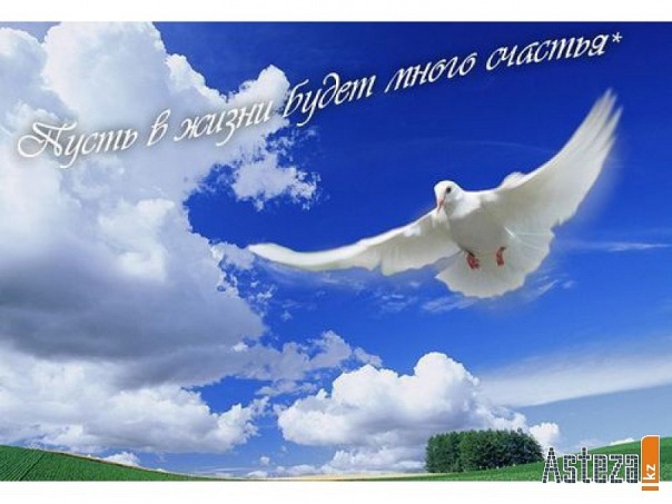№16, Ирина Фирсова, 47 лет, Москва №16, Ирина Фирсова, 47 лет, Москва