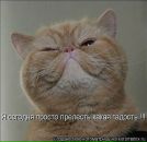 Фотография Кулаковой Елены