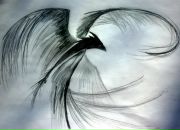 Фотография Феникса Сиреневыя