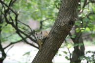 Антон Шумаков фотография #45 (источник - https://vk.com/id2967216)