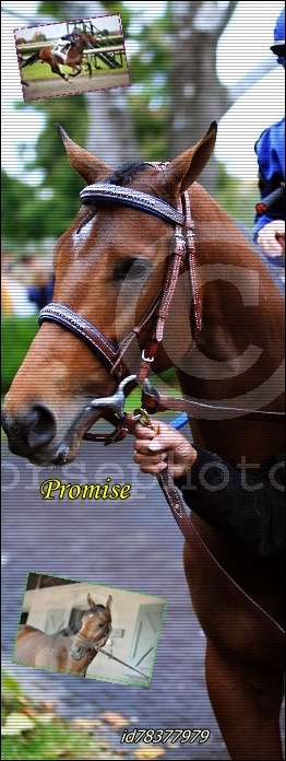 Дима Димкин фотография #11