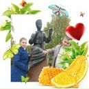 Фотография Парамохиной Юли