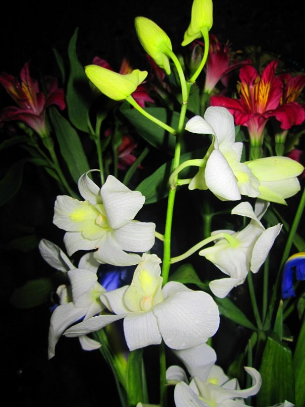 Ольга Гребенникова фотография #18