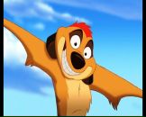 Ярик Зіневич фотография #8 (источник - https://vk.com/id67293957)