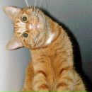 Андрій Щепаняк фотография #35 (источник - https://vk.com/id45434563)