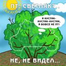 Фотография Малюты Михаила