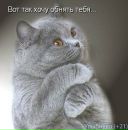 Фотография Зеновой Виктории