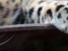 Дашка =) фотография #6 (источник - https://vk.com/id124573877)