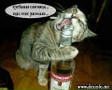 Фотография Хаваньжан Елены