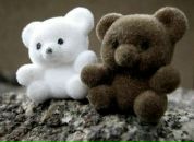 Фотография Alekseeva Vera