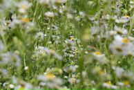 Андрій Світлицький фотография #23 (источник - https://vk.com/id2321783)