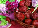 Фотография Ишемгуловой Гульназ