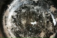 Фотография Shamarina Alexandra