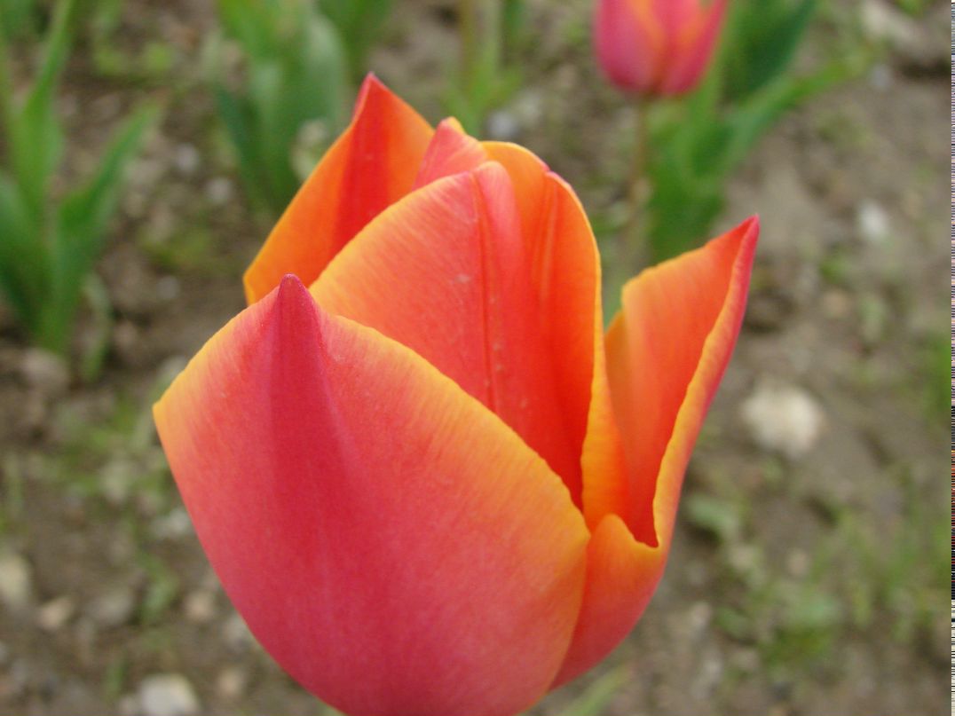 Константин Черников фотография #32