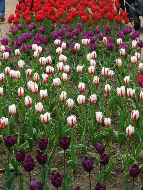 Константин Черников фотография #31