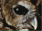 Фотография Апраксина Алексея