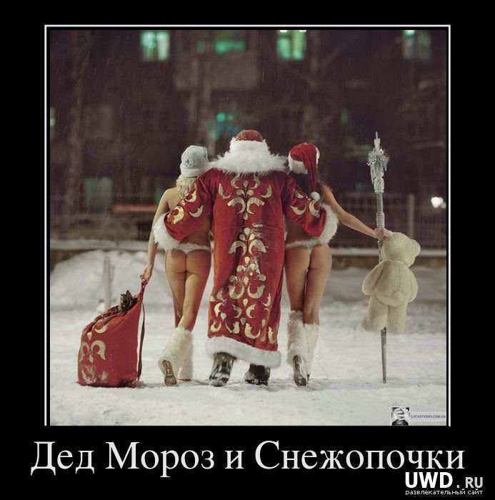 Александр Дмитренко фотография #49