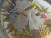 Фотография Виноградовой Юлии