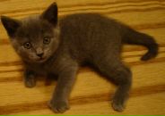 Фотография Савичевой Ирины