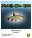 Віктор Гнатенко фотография #34 (источник - https://vk.com/id54231229)