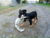 Іштван Сюч фотография #48 (источник - https://vk.com/id33309332)