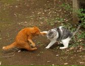 Віталій Оксенюк фотография #15 (источник - https://vk.com/id70153542)