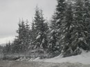 Оксіка Гуляк фотография #45 (источник - https://vk.com/id155659315)