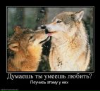 Фотография Загревской Катерины