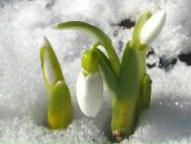 Фотография Абрамовой Натальи