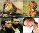 Guraba :::::: фотография #1