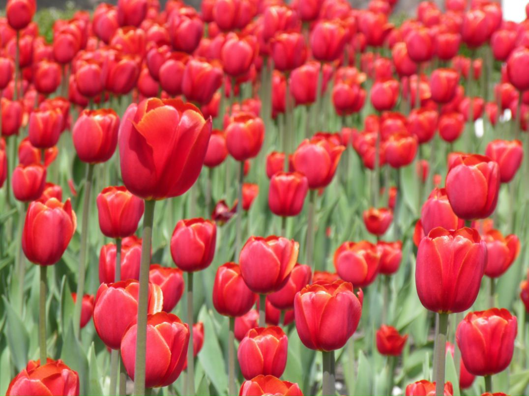 Мария Бушаала фотография #30