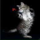 Фотография Айдоган Натальи