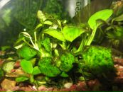 Андрій Ордаш фотография #2 (источник - https://vk.com/id28930375)