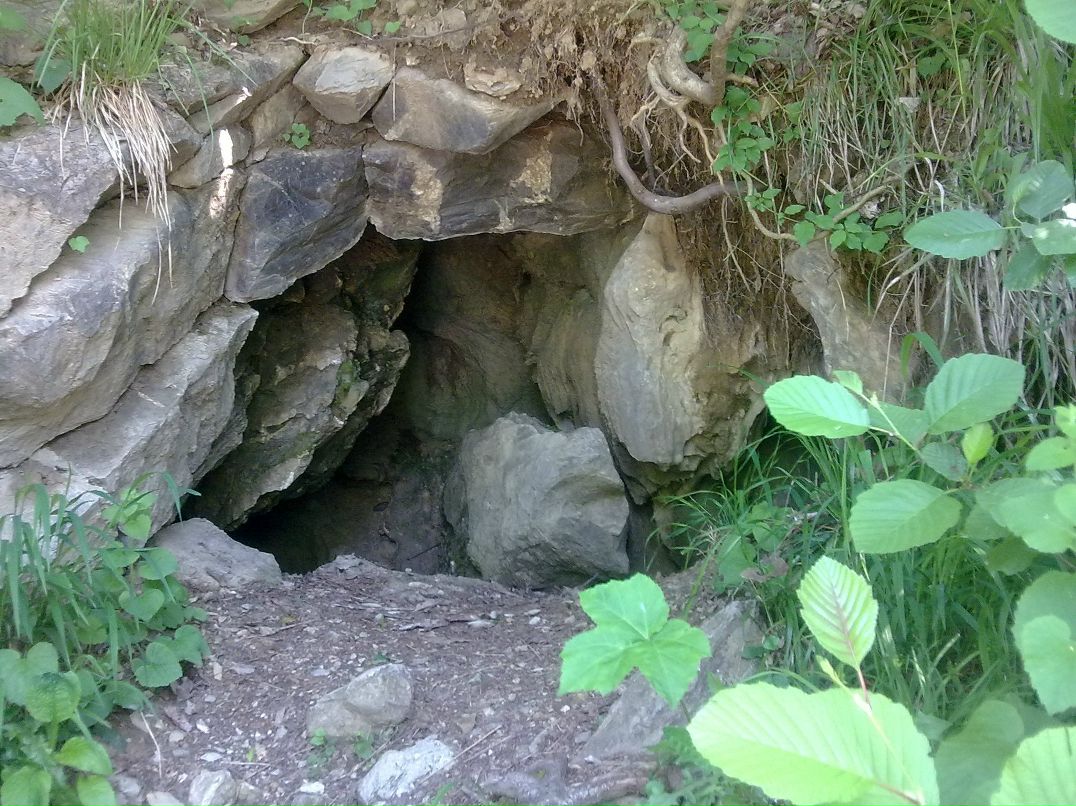 Дмитрий Туркевич фотография #18