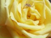 Фотография Буяновой Ольги