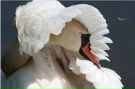 Фотография Цегельник Татьяны