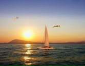 Светлана Blackcat фотография #31 (источник - https://vk.com/id2403360)