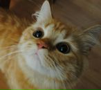 Фотография Барковой Виктории