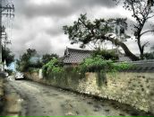 Степан Туляков фотография #6 (источник - https://vk.com/id640944)