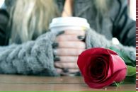 Фотография Тимченко Екатерины