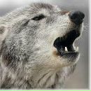 Віктор Шевчук фотография #34 (источник - https://vk.com/id148560217)