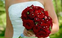 Квіти Розмовляють фотография #47 (источник - https://vk.com/id71747870)