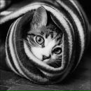 Фотография Михайловой Кристины